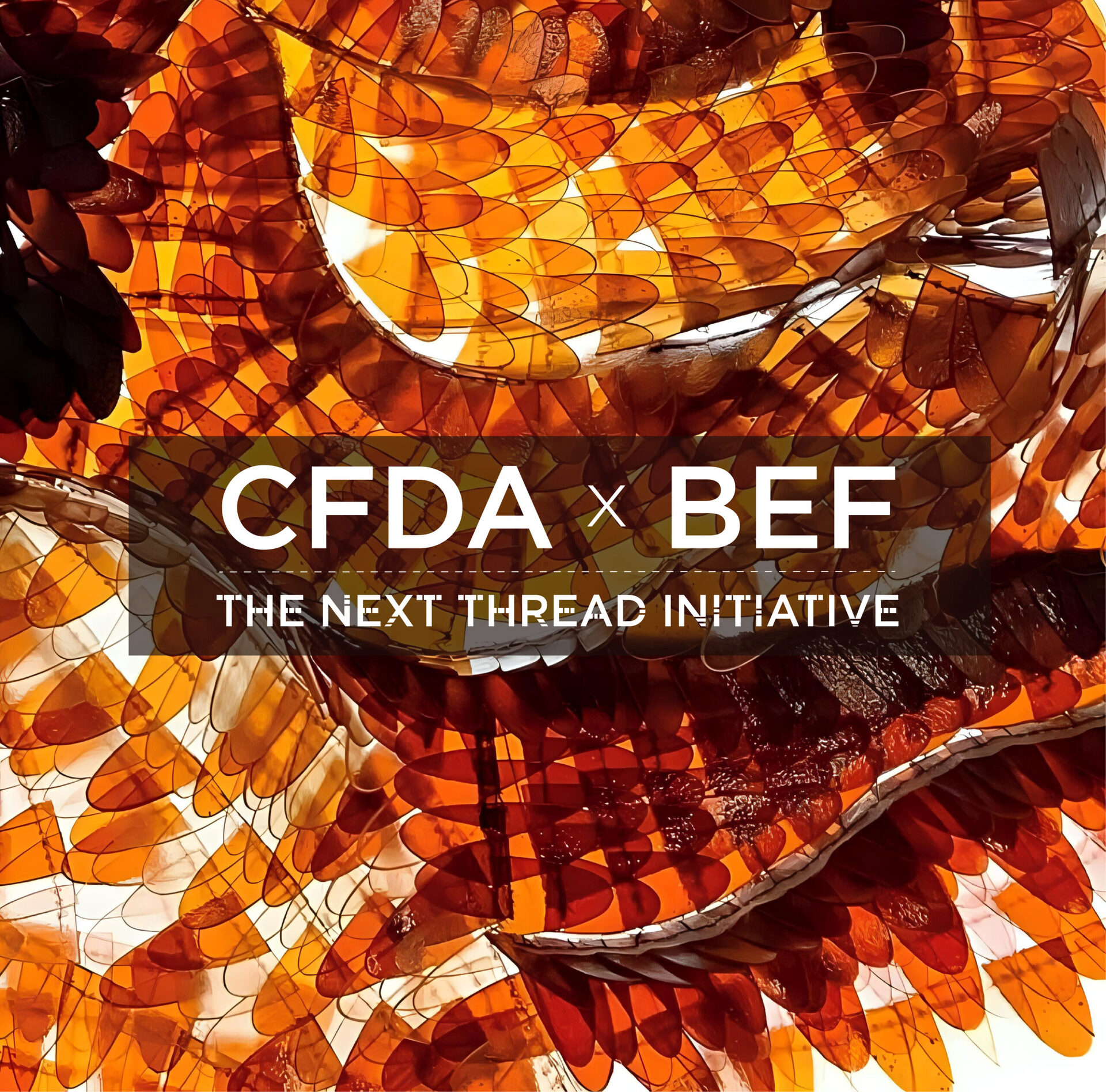 The CFDA and Bezos Earth Fund: The Next Thread Initiative